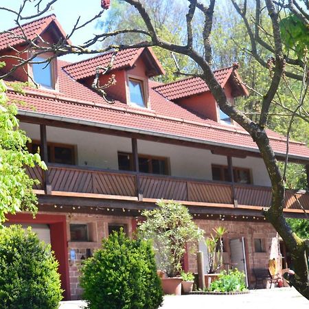 Ferienwohnungen Hof Heiderich Oberzent Exteriör bild