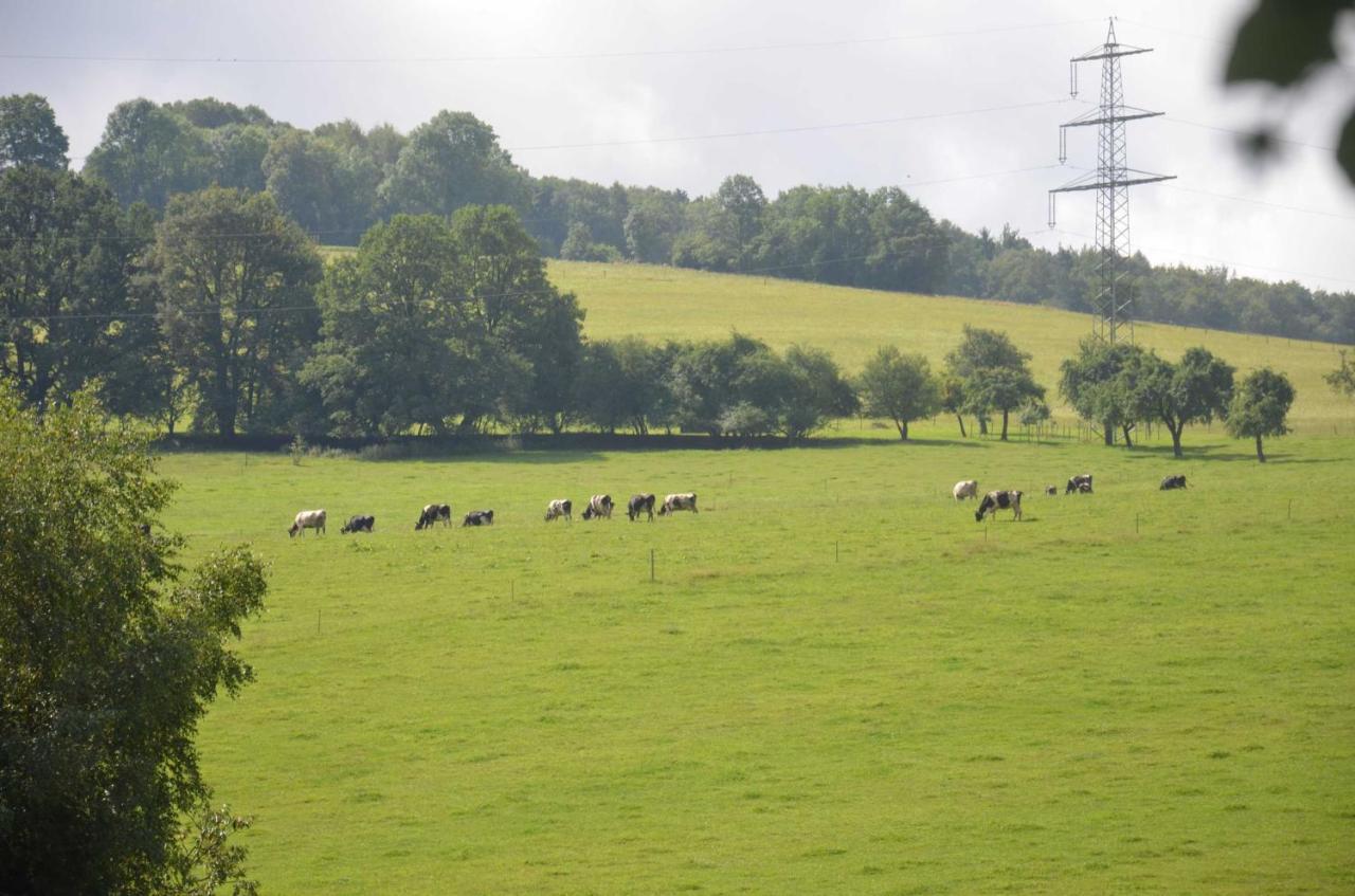 Ferienwohnungen Hof Heiderich Oberzent Exteriör bild
